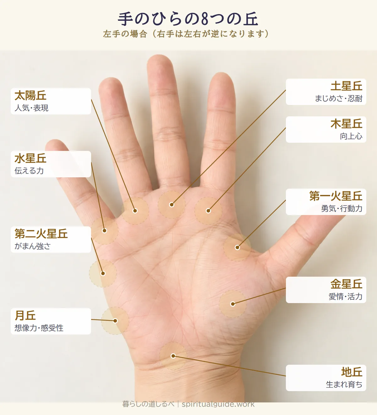 手のひらの8つの丘。木星丘・土星丘・太陽丘・水星丘・第一火星丘・第二火星丘・月丘・金星丘と地丘の場所